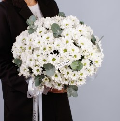 korzina s hrizantemoj 4